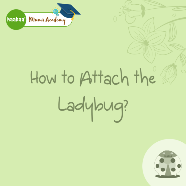 How to Attach the Ladybug?